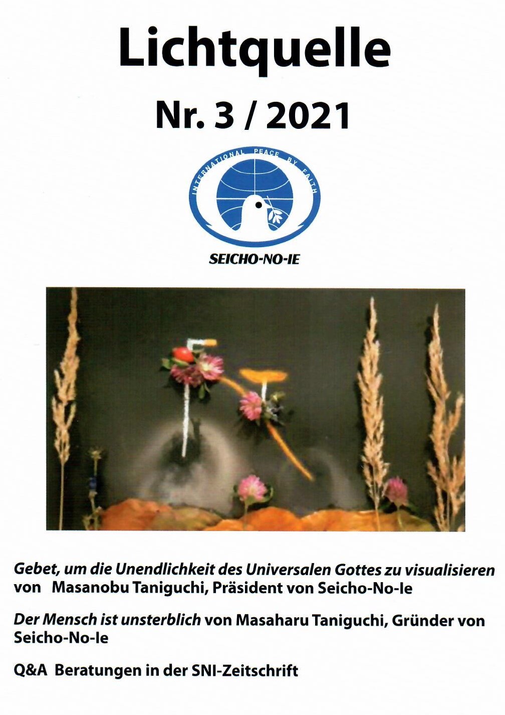 Lichtquelle Nr. 3 2021